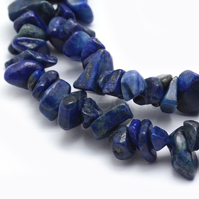 Natural Lapis Lazuli Beads Strands X-G-P332-14-1