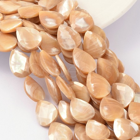 Natural Sea Shell Beads SSHEL-E500-1-1