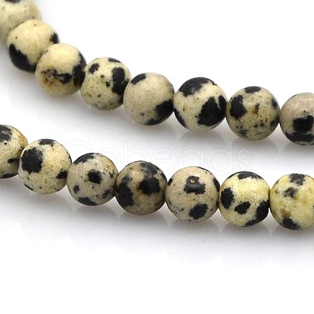Round Natural Dalmatian Jasper Beads Strands G-N0120-23-4mm-1