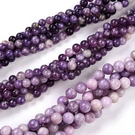 Natural Lepidolite/Purple Mica Stone Beads Strands G-K415-8mm-1