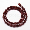 Oval Natural Carnelian Bead Strands G-L292-05-2