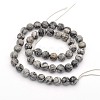 Natural Black Silk Stone/Netstone Beads Strands X-G-G542-8mm-33-2