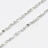 Anti-Tarnish Rhodium Plated 925 Sterling Silver Necklaces STER-E008-2A-1