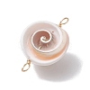 Natural Shiva Eye Shell Links Connector Charms with Real 18K Gold Plated Copper Wire Double Loops PALLOY-JF02629-3