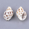 Spiral Shell Beads X-SSHEL-S258-61-2