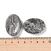 Oval Natural Map Stone Worry Stone G-G104-01C-3