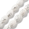 Natural Howlite Beads Strands G-P520-C16-01-1