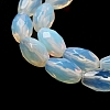 Opalite Beads Strands G-P520-C23-01-4