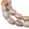 Natural Fossil Beads Strands G-Z006-A09-2