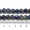 Natural Sodalite Beads Strands GSR8mmC013-1-4