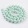 Eco-Friendly Dyed Glass Pearl Round Beads Strands HY-A002-10mm-RB034N-2