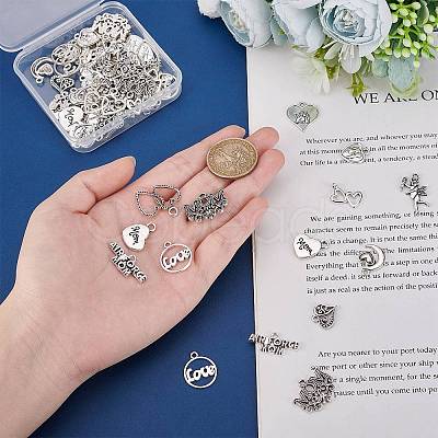 PandaHall Elite 72Pcs 12 Style  Tibetan Style Filigree Alloy Heart Charms TIBEP-PH0001-41-1