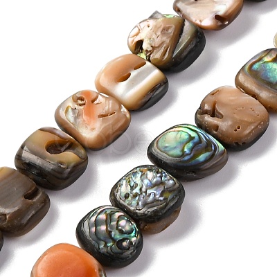 Natural Paua Shell Beads Strands BSHE-B007-02-1