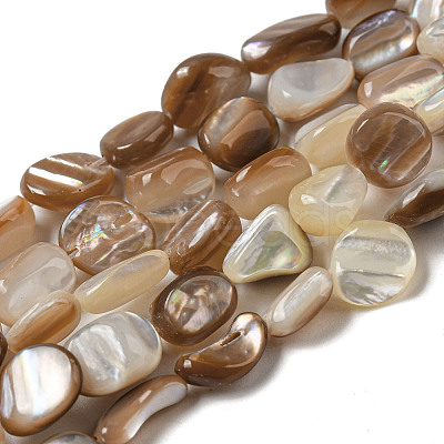 Natural Seashell Beads Strands SSHEL-H072-14-1