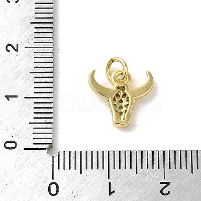 Rack Plating Brass Micro Pave CLear Cubic Zirconia Charms KK-C053-12G-1