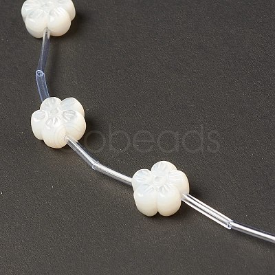 Natural White Shell Mother of Pearl Shell Beads BSHE-B005-04-1