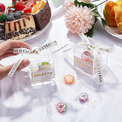 Square Transparent Acrylic Candy Gift Boxes CON-WH0088-15B-1