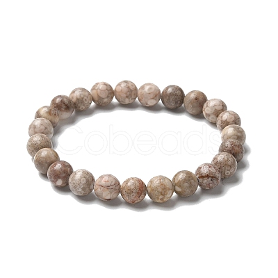 Natural Maifanite/Maifan Stone Bead Stretch Bracelets BJEW-K212-B-044-1