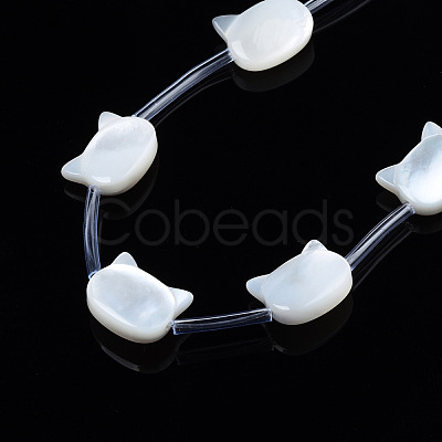 Natural White Shell Beads Strands SSHEL-S278-124A-1