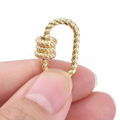 Brass Screw Carabiner Lock Charms ZIRC-E164-09G-1