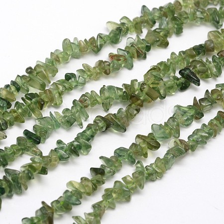 Chips Natural Green Apatite Beads Strands X-G-N0164-26-1