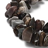 Natural Alashan Agate Beads Strands G-M205-79-4