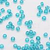 6/0 Glass Seed Beads X-SEED-J013-F6-19-3