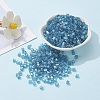 6/0 Glass Seed Beads SEED-YW0001-25A-5