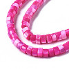 Natural Trochus Shell Beads Strands SHEL-S278-027E-3