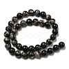 Natural Black Fossil Coral Beads Strands G-R494-A04-04-2
