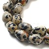 Natural Dalmatian Jasper Beads Strands G-B106-A29-01-4