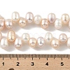 Natural Cultured Freshwater Pearl Beads Strands PEAR-A006-28C-5