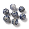 Natural Blue Spot Jasper No Hole Sphere Beads G-K353-04D-14-1