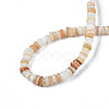 Natural Freshwater Shell Beads Strands SHEL-S278-067-5