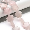 Natural Rose Quartz Beads Strands G-F769-X01-02-2