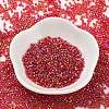 Transparent Colours Glass Seed Beads SEED-S042-14B-02-2