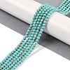Synthetic Turquoise Beads Strands G-U004-02E-2
