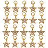 20Pcs Brass Micro Pave Cubic Zirconia Charms ZIRC-SZ0001-93-1