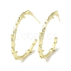 Brass Branch Stud Earrings EJEW-Q782-01G-1