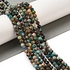 Natural HuBei Turquoise Beads Strands G-G140-A05-04-5