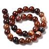 Natural Red Snakeskin Jasper Beads Strands G-H298-A02-05-3
