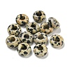 Natural Dalmatian Jasper Beads G-Q173-03A-24-1