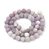 Natural Lepidolite/Purple Mica Stone Beads Strands G-T106-294-3