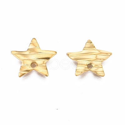 304 Stainless Steel Charms STAS-S080-057G-NR-1