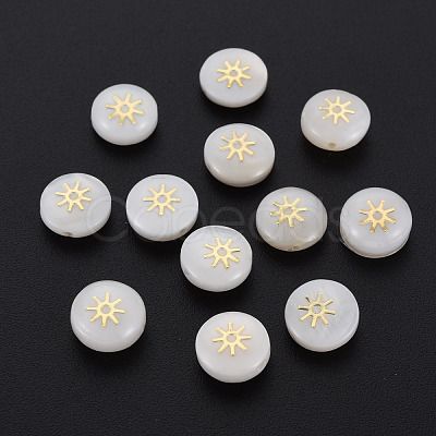 Natural Freshwater Shell Beads SHEL-N003-22-10-1