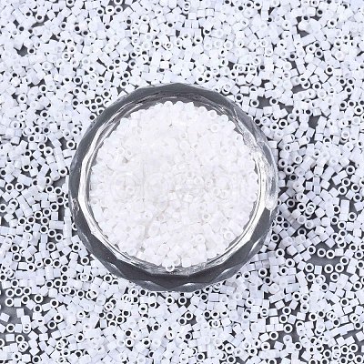 11/0 Grade A Glass Seed Beads X-SEED-S030-0401F-1