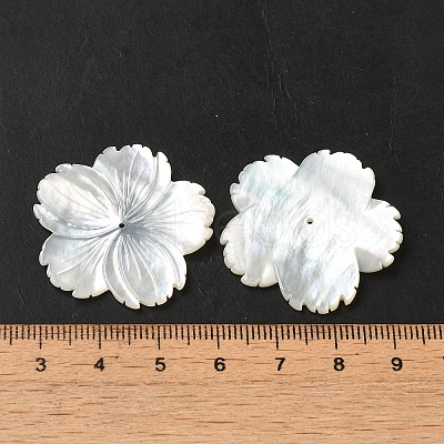 Natural White Shell Beads SHEL-M021-08B-1