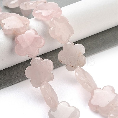 Natural Rose Quartz Beads Strands G-F769-X01-02-1