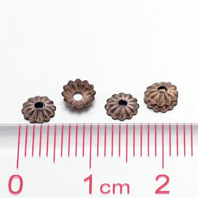 Antique Bronze Iron Flower Bead Caps X-IFIN-D023-AB-NF-1