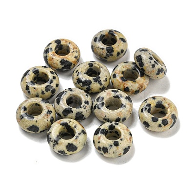 Natural Dalmatian Jasper Beads G-Q173-03A-24-1